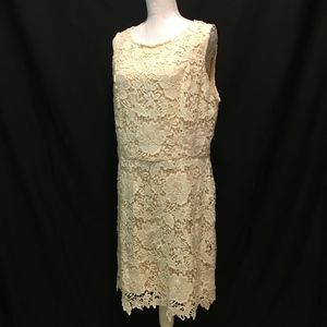 Loft dress. Cream-colored with beautiful lace.